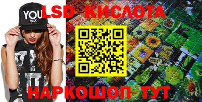 jwh Сланцы