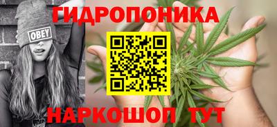 mdpv Славгород