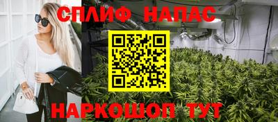 mdpv Славгород