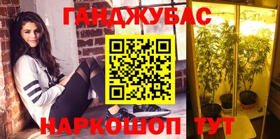 mdpv Славгород